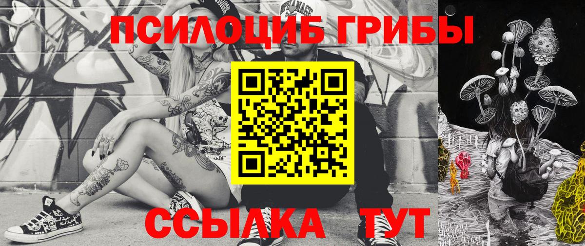 Галлюциногенные грибы Psilocybine cubensis  Вход с VPN  Кирово-Чепецк 