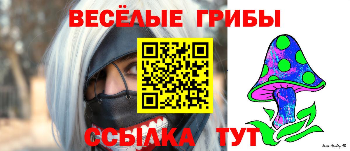 Галлюциногенные грибы Psilocybine cubensis Кирово-Чепецк